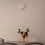 Al Corso Frühstückspension